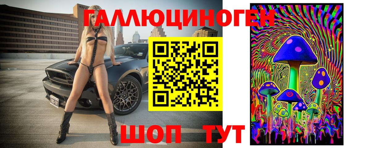 Южно-Сахалинск  Псилоцибиновые грибы мицелий  Вход с VPN 